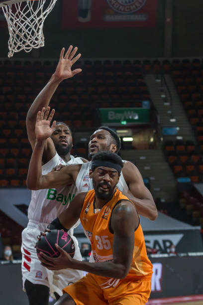 浙江队升至 浙江队升至